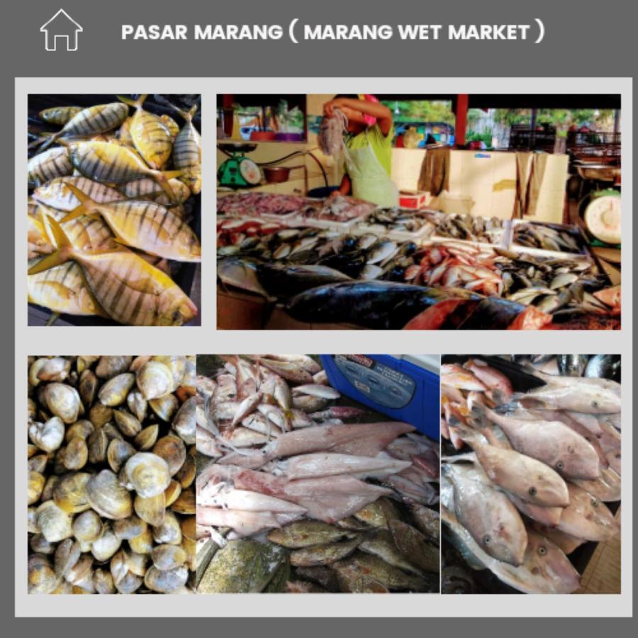 Fishing Village Marang Terengganu المظهر الخارجي الصورة